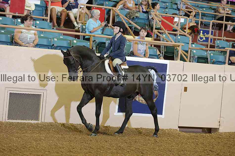 Proof 14yn_03702
