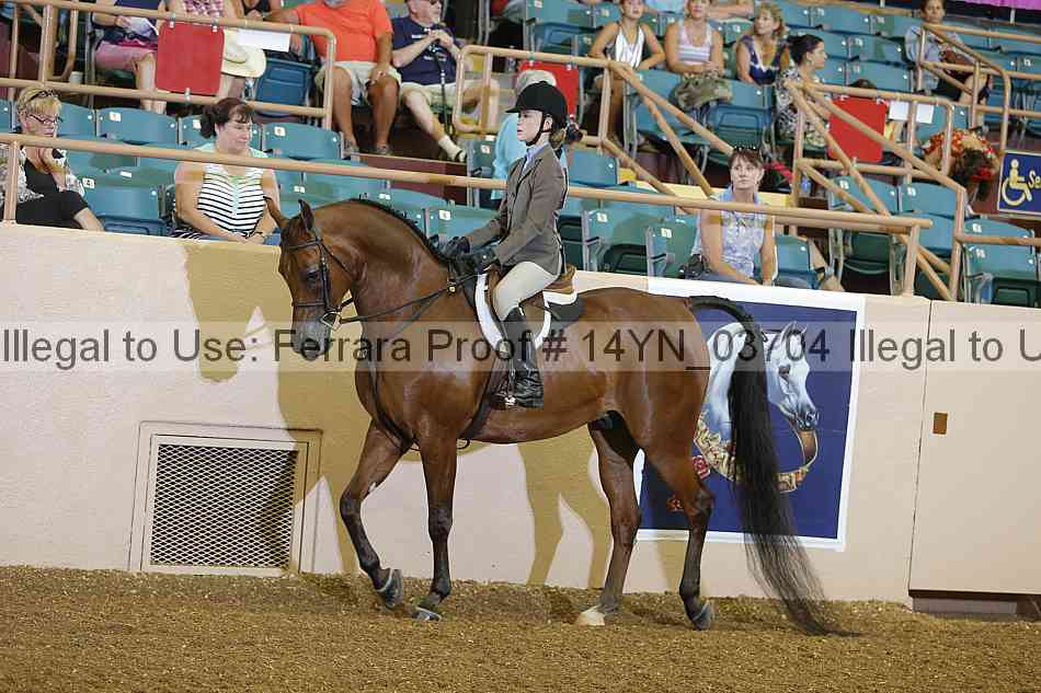 Proof 14yn_03704