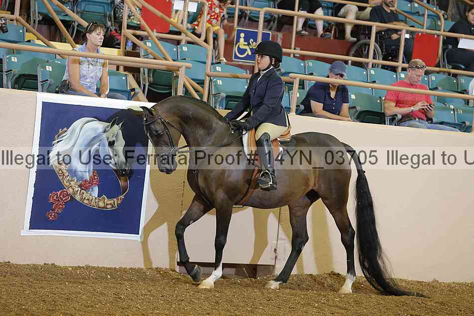 Proof 14yn_03705