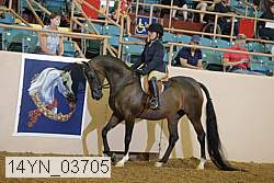 14yn_03705 proof