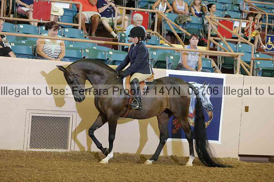 Proof 14yn_03706