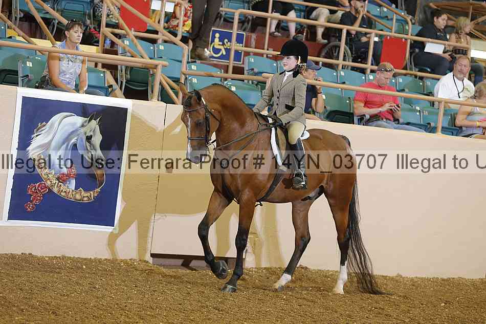 Proof 14yn_03707