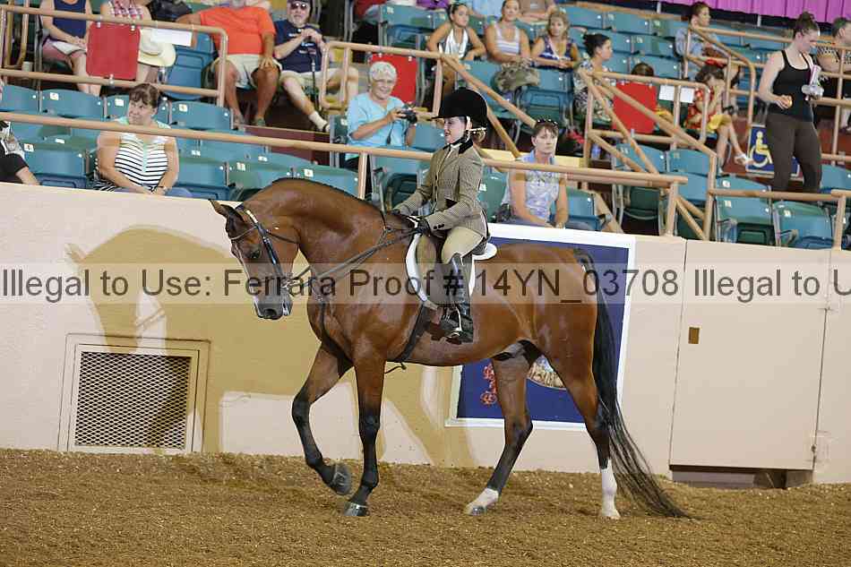 Proof 14yn_03708