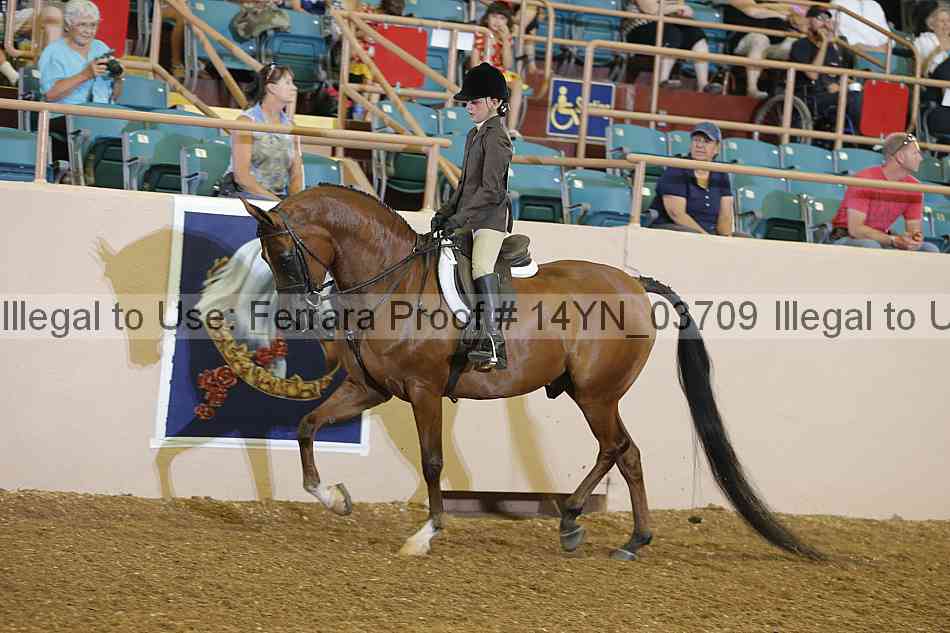 Proof 14yn_03709