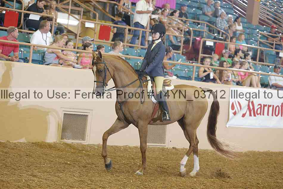 Proof 14yn_03712