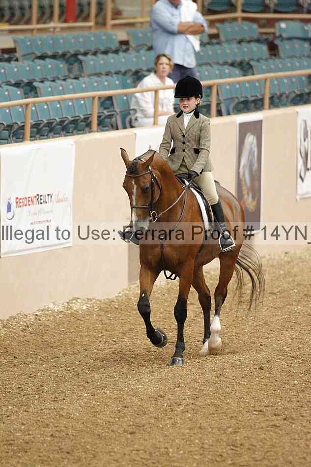 Proof 14yn_03713
