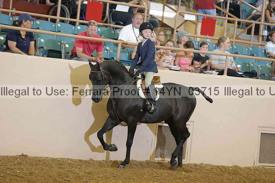 Proof 14yn_03715