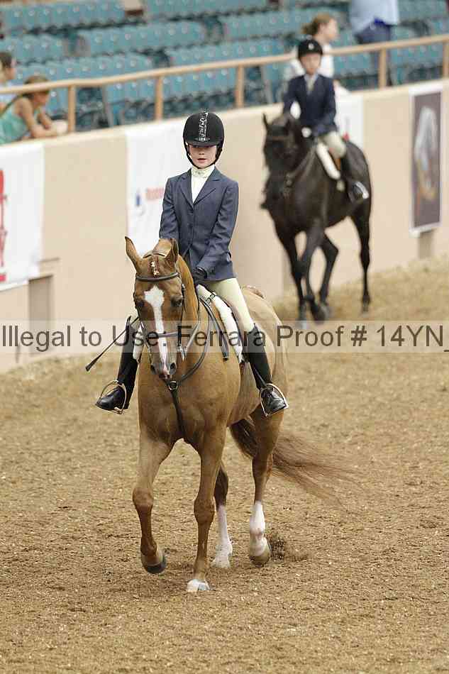 Proof 14yn_03729