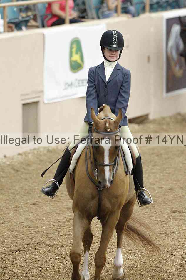 Proof 14yn_03731