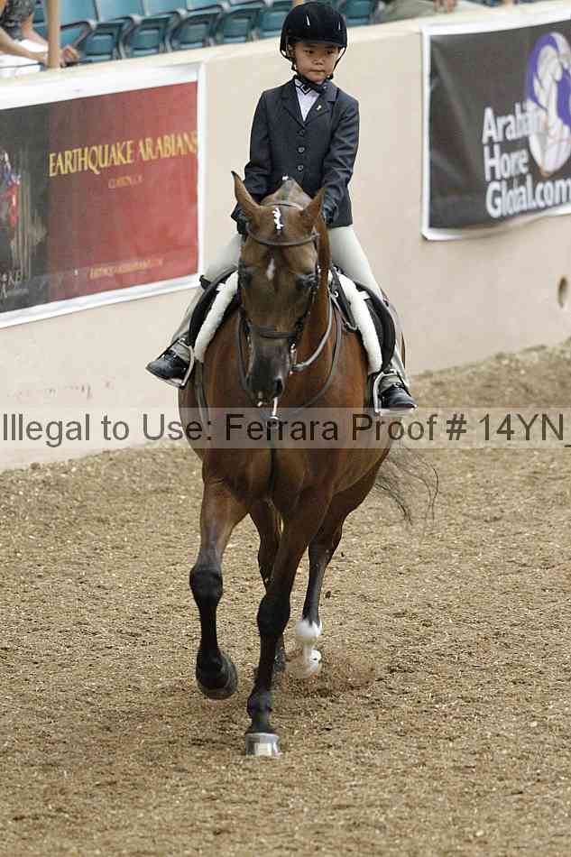Proof 14yn_03734