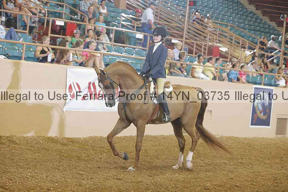 Proof 14yn_03735