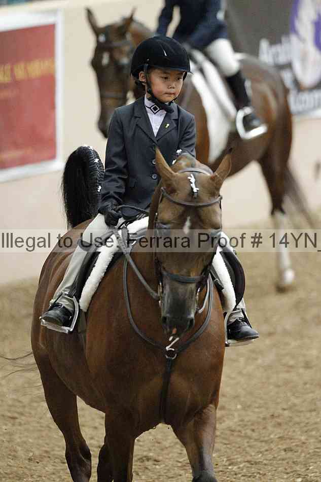 Proof 14yn_03736