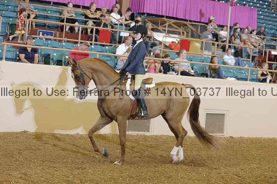 Proof 14yn_03737