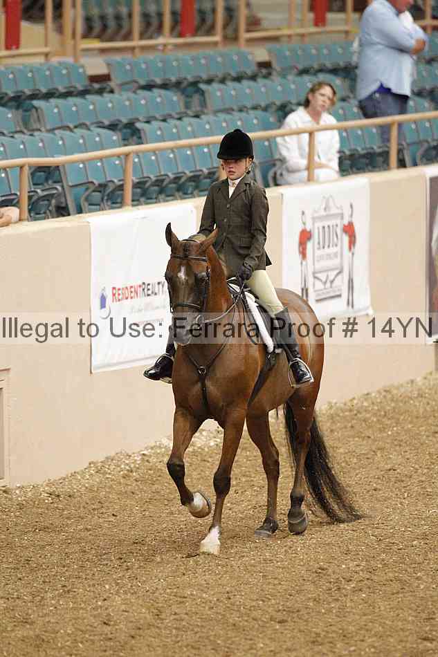 Proof 14yn_03738