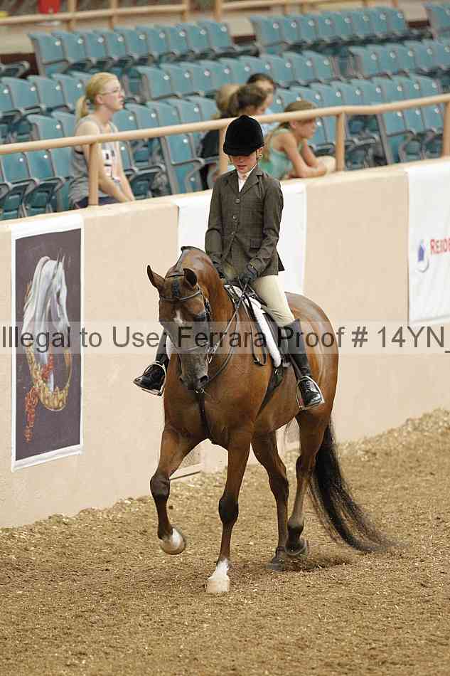 Proof 14yn_03739