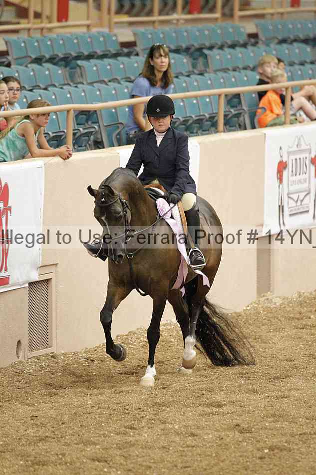Proof 14yn_03753