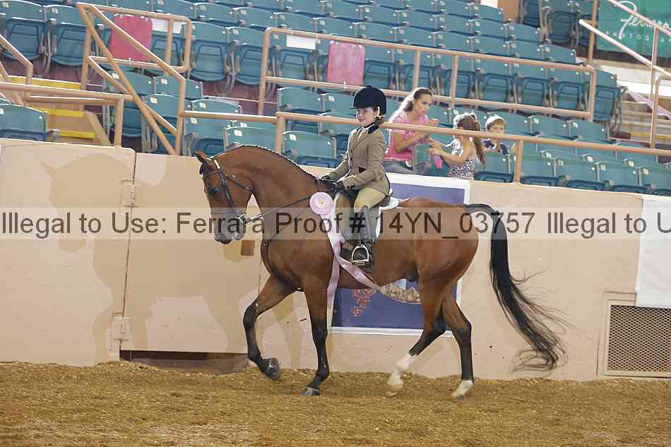 Proof 14yn_03757