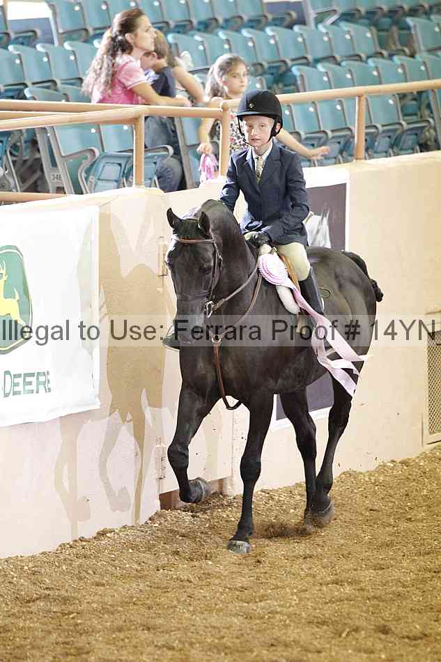 Proof 14yn_03769