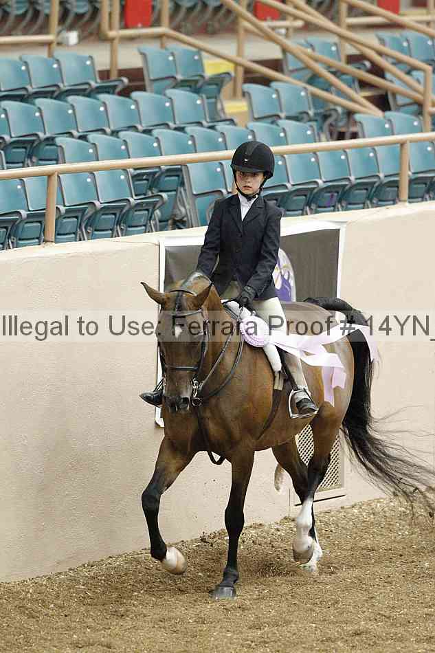Proof 14yn_03774