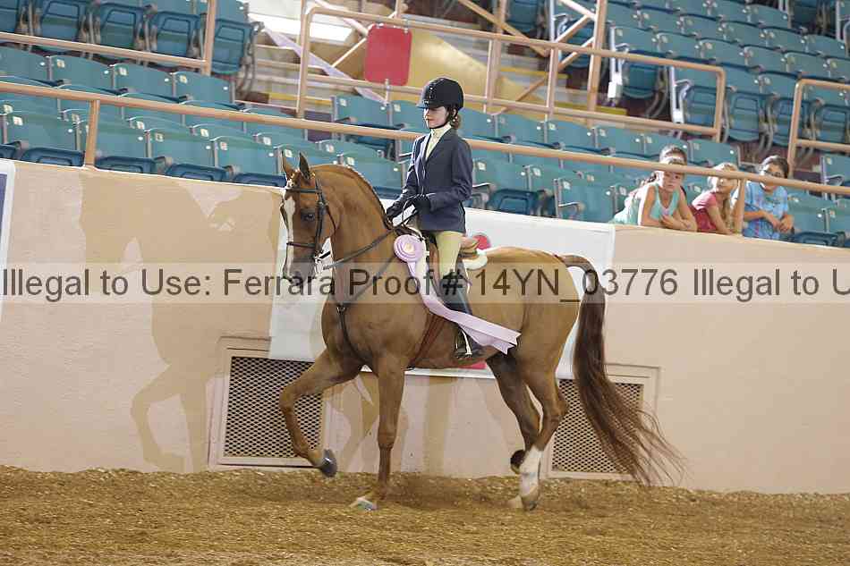 Proof 14yn_03776