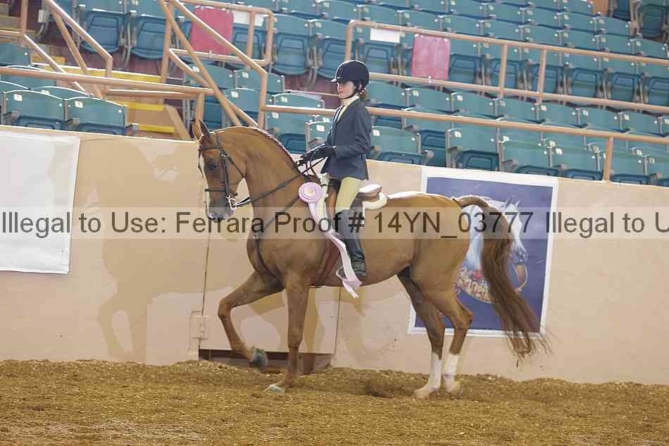 Proof 14yn_03777