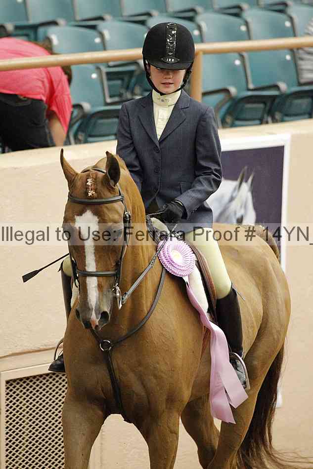 Proof 14yn_03779