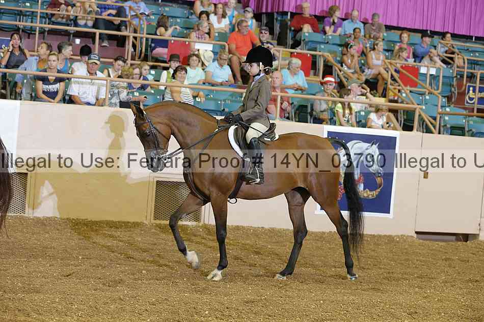 Proof 14yn_03790