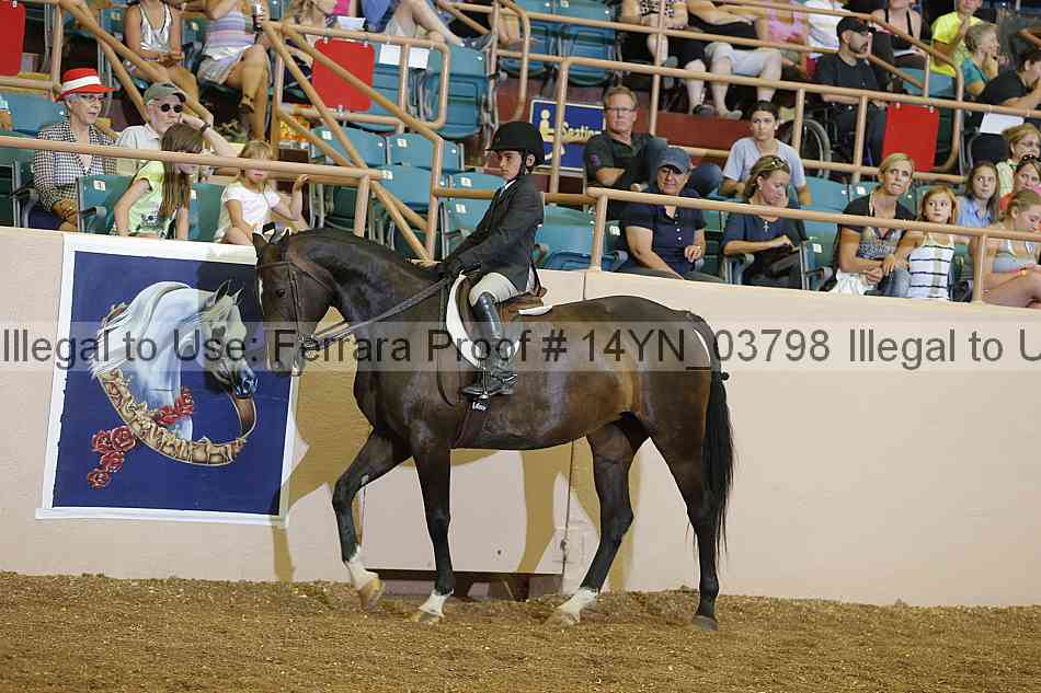 Proof 14yn_03798