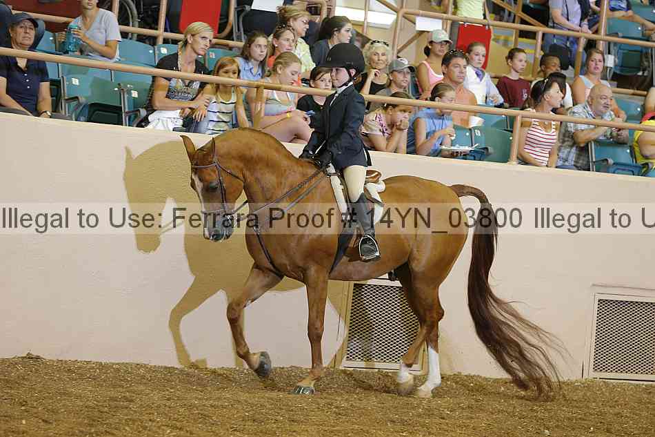 Proof 14yn_03800