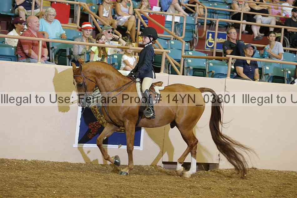 Proof 14yn_03801