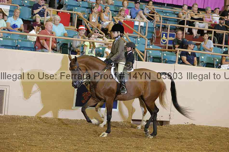 Proof 14yn_03803