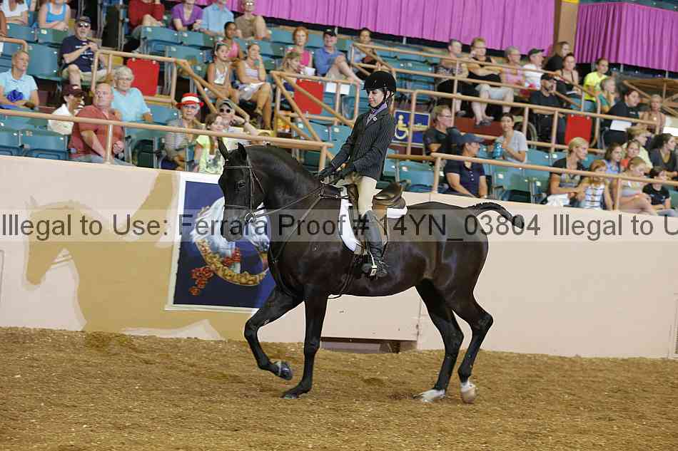 Proof 14yn_03804