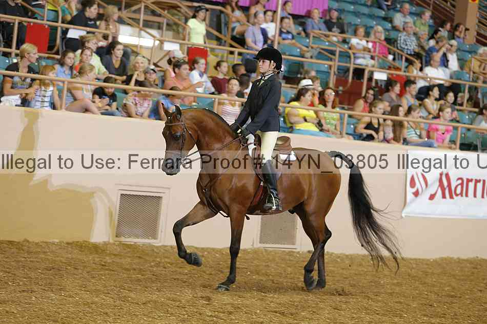 Proof 14yn_03805