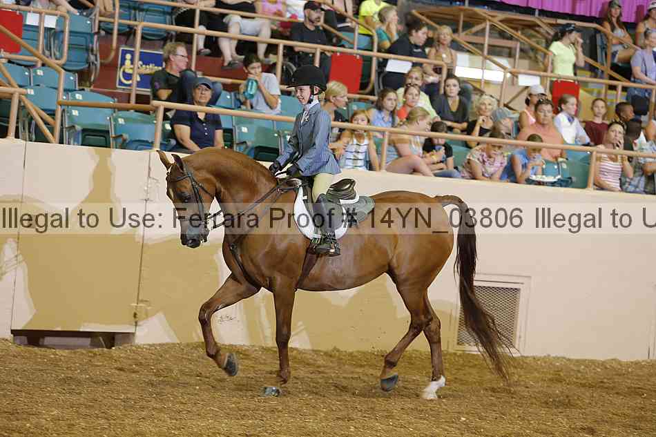 Proof 14yn_03806