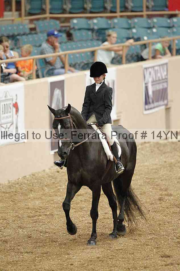 Proof 14yn_03807