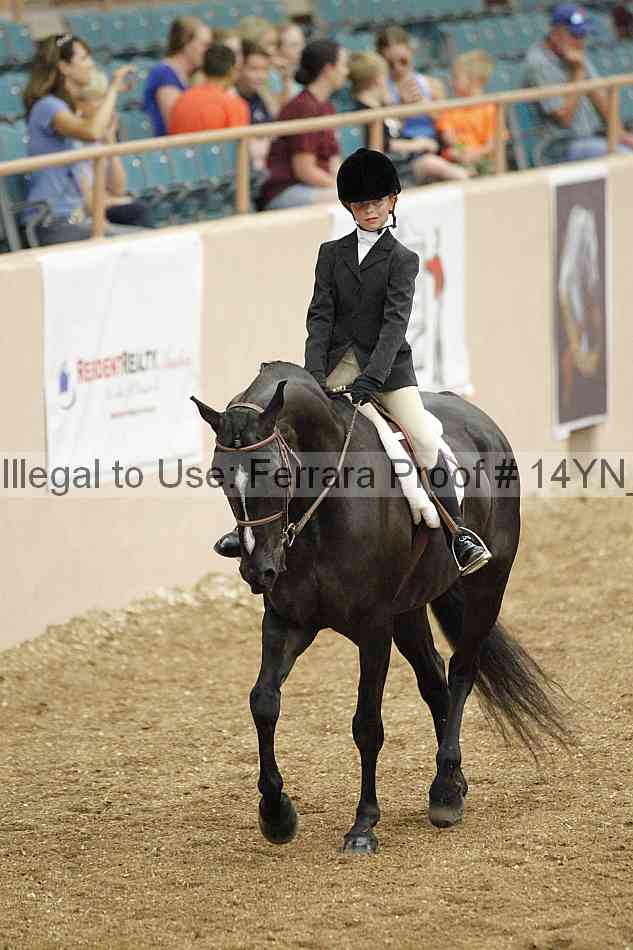 Proof 14yn_03808