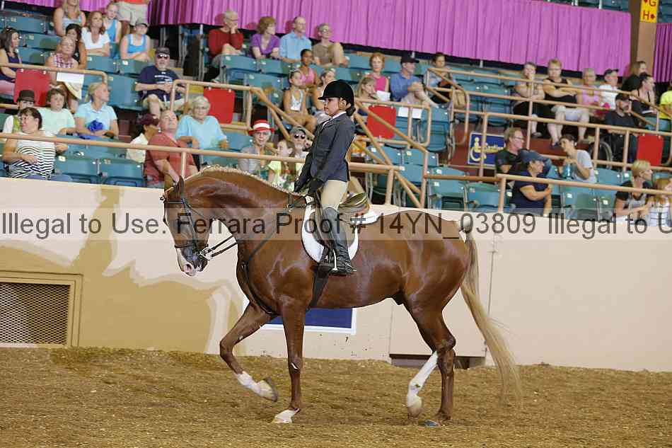 Proof 14yn_03809