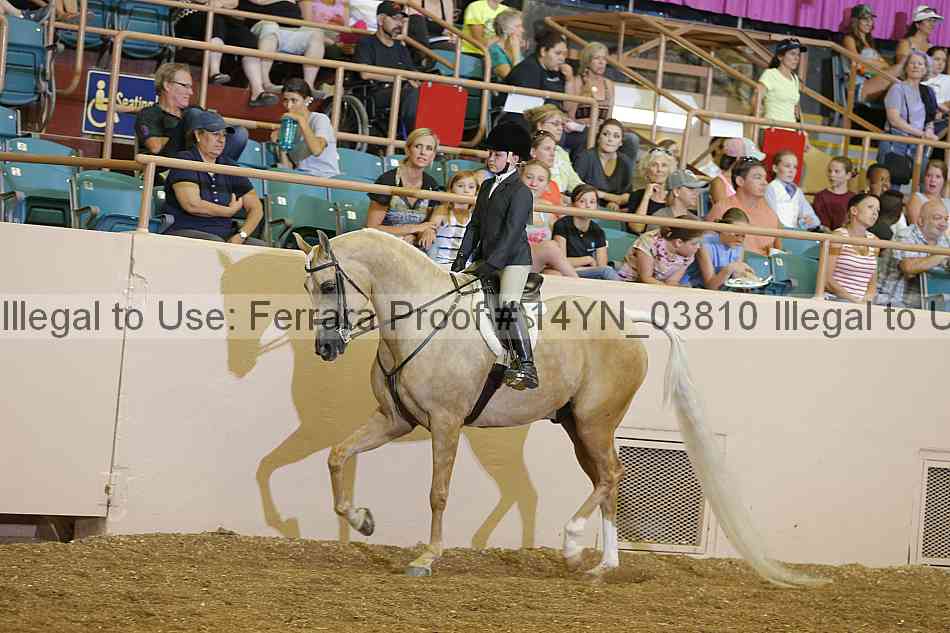 Proof 14yn_03810