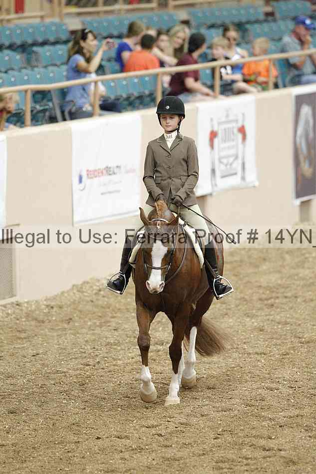 Proof 14yn_03816