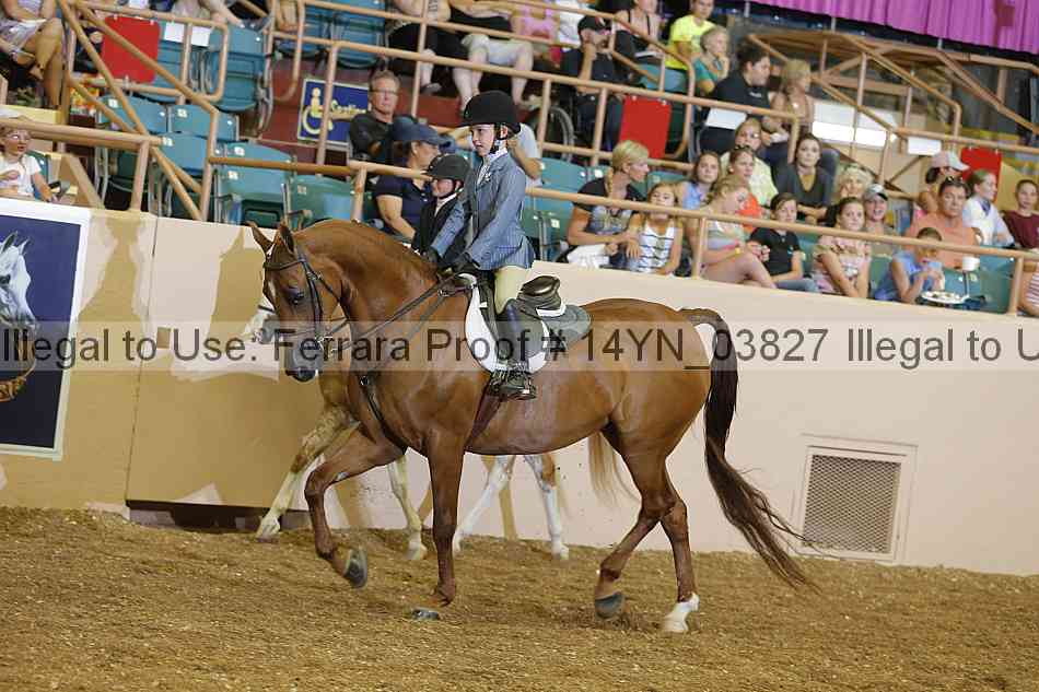 Proof 14yn_03827
