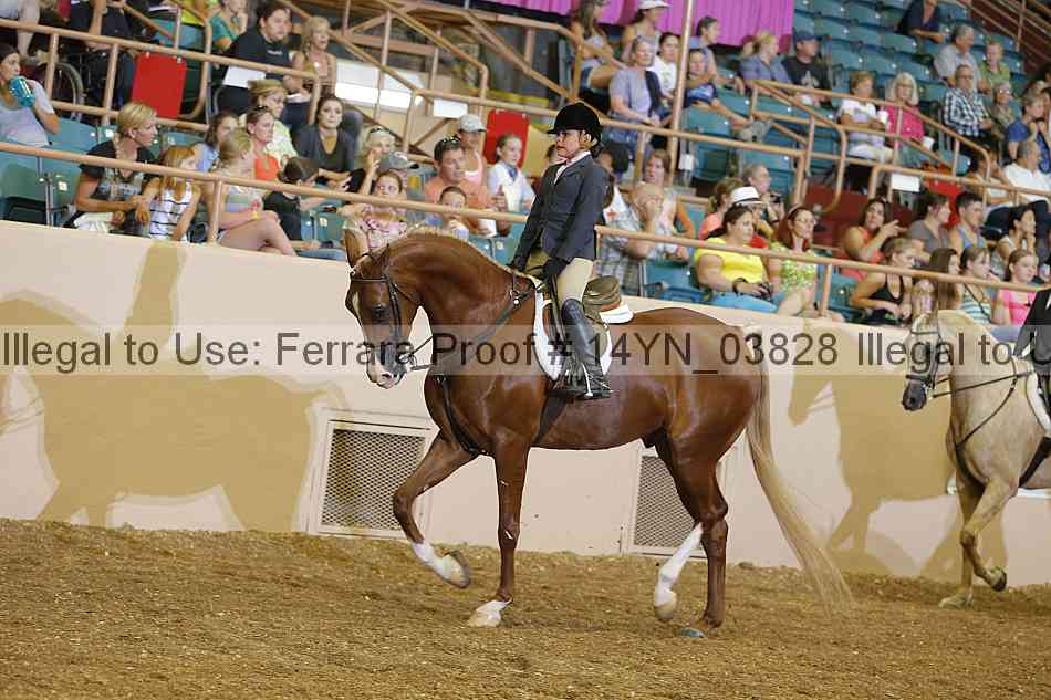 Proof 14yn_03828