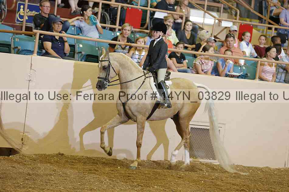 Proof 14yn_03829