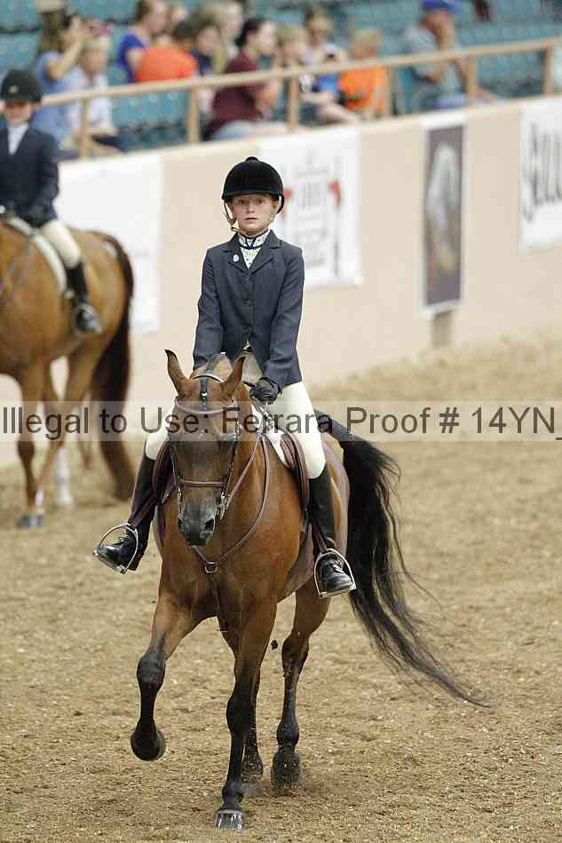 Proof 14yn_03831