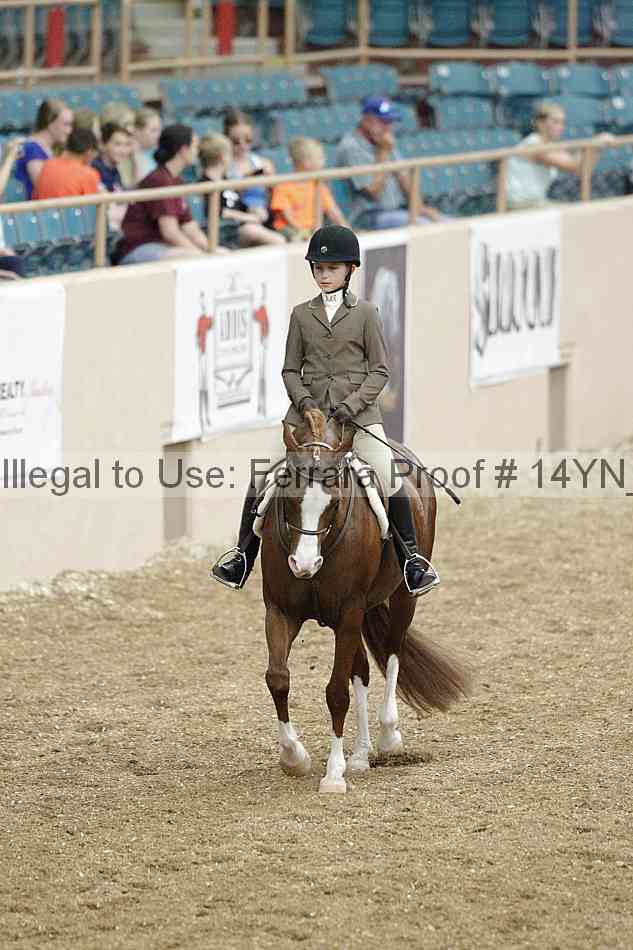 Proof 14yn_03832