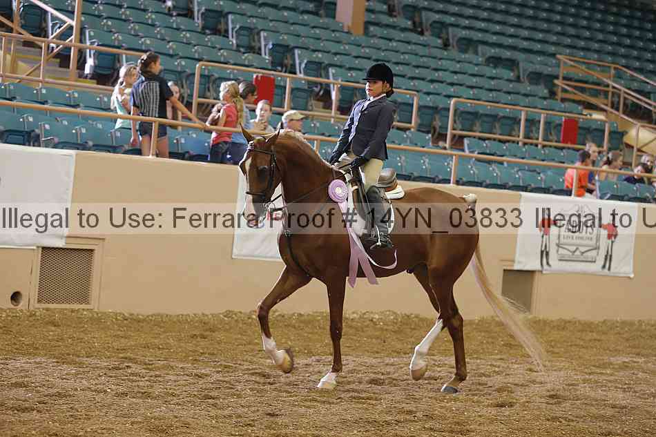 Proof 14yn_03833
