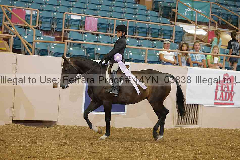 Proof 14yn_03838