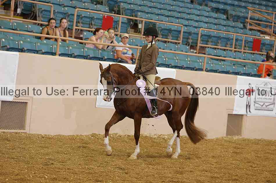 Proof 14yn_03840