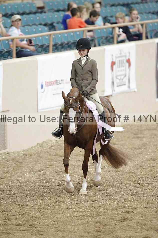 Proof 14yn_03843