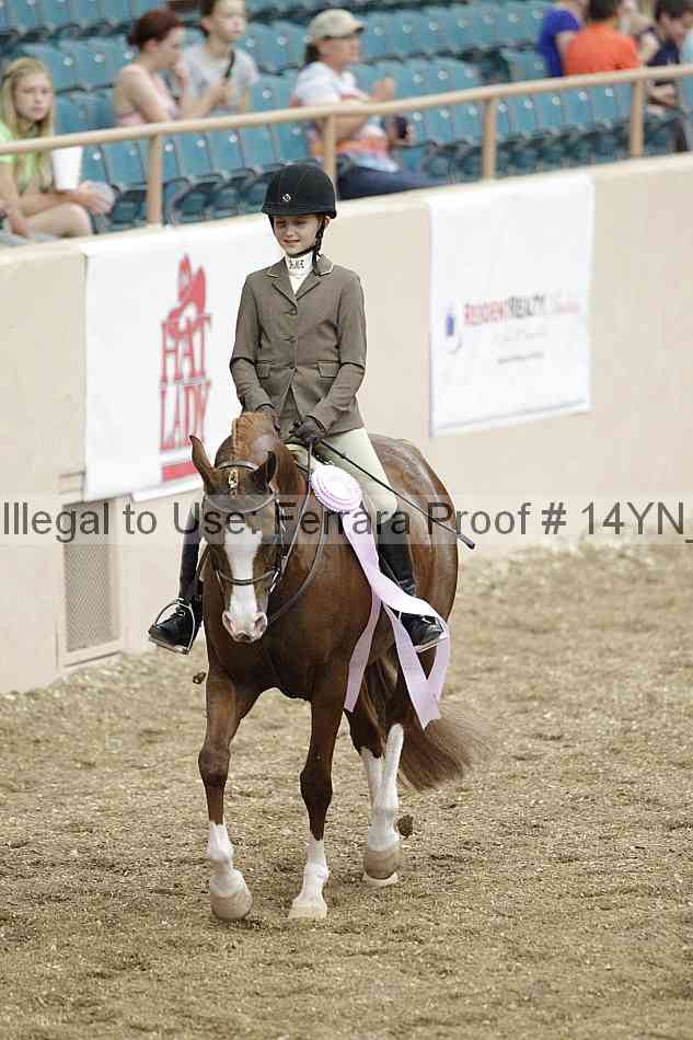 Proof 14yn_03845