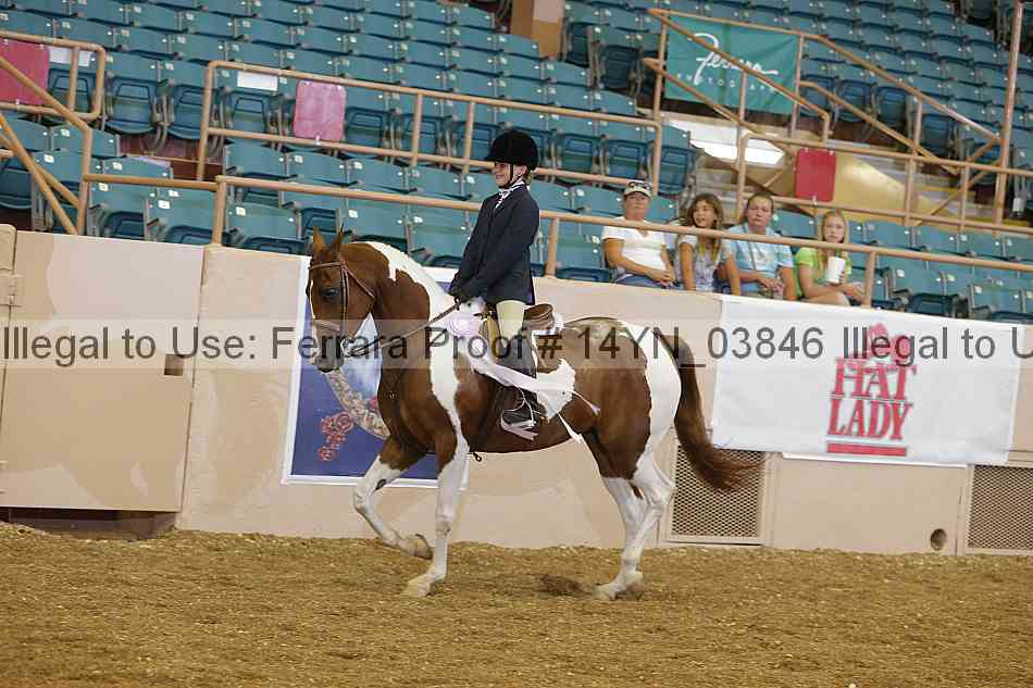 Proof 14yn_03846